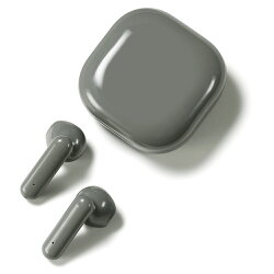 アクセス B-FUN (ビーファン) 完全ワイヤレスイヤホン AH-TWS05 チャコール