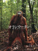 オランウータン