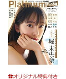 【楽天ブックス限定特典】Platinum　FLASH　Vol.　14(オリジナル特典ポストカード)