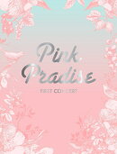 APINK 1ST CONCERT 「PINK PARADISE」
