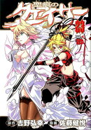 聖痕のクェイサー(23)