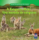 A Kangaroo Mob/Una Manada de Canguros