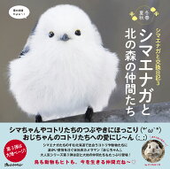 シマエナガと交換日記3 シマエナガと北の森の仲間たち