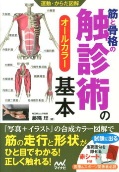 楽天ブックス 筋と骨格の触診術の基本 オールカラー 藤縄理 本