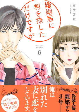 �����Ϥ�Ƚ���褷�������Ǥ�����6