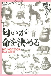 楽天ブックス: 波波波 - 吉田加南子 - 9784783706403 : 本