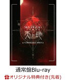 【楽天ブックス限定先着特典】全国開闢禊 -天ト地 -(通常盤Blu-ray)【Blu-ray】(アクリルキーホルダー)
