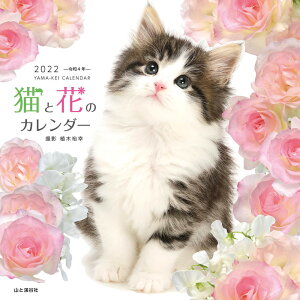 猫 カレンダーの人気商品 通販 価格比較 価格 Com