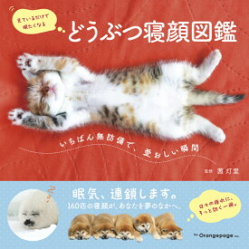 どうぶつ寝顔図鑑　いちばん無防備で、愛おしい瞬間 [ 茜　灯里 ]