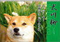 犬川柳 2016年 カレンダー