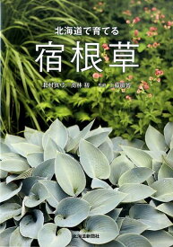 楽天市場 宿根草 北海道の通販 楽天市場 宿根草 北海道の通販