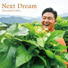 Next Dream [ Kanemaru Shin ]
