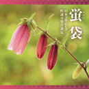 吟詠 二〇二六年度(第六十二回)コロムビア全国吟詠コンクール 課題吟 CD 蛍袋