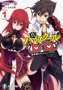 ���ϥ���������D��D1 ���ش��Υ����륷�塦�ɥ饴��