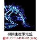 【楽天ブックス限定先着特典】儚くない (初回生産限定盤 CD＋Blu-ray)(アクリルコースター)