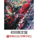 【楽天ブックス限定先着特典+早期予約特典】BRIGHTNESS (初回限定盤 CD＋DVD)(アクリルキーホルダー+DVD (「Dear Fu…