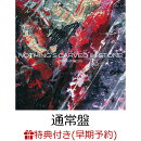 【楽天ブックス限定先着特典+早期予約特典】BRIGHTNESS(アクリルキーホルダー+DVD (「Dear Future」Music Video 特…