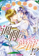 身代わり花婿の過剰な愛寵！？