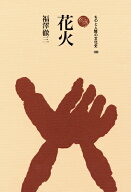 花火 （ものと人間の文化史　183） [ 福澤 徹三 ]