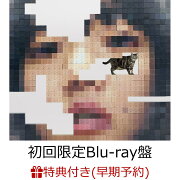 【楽天ブックス限定配送BOX】【楽天ブックス限定先着特典+早期予約特典】猫にジェラシー (初回限定Blu-ray盤 CD＋2Blu-ray)【楽天ブックス限定Tシャツ付限定盤(Lサイズ)】(アクリルキーホルダー+猫にジェラシー オリジナルブロックメモ)