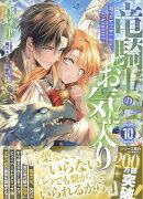 竜騎士のお気に入り　10巻