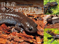 日本産サンショウウオ図譜 [ 松井 正文 ]
