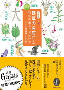 野草の名前　秋・冬