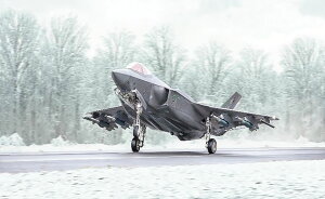 C^ 1/48 F-35A CgjOII r[Xg[h yIT2836z (vf)