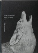 Shapes of Wonder