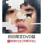 【楽天ブックス限定配送BOX】【楽天ブックス限定先着特典+早期予約特典】猫にジェラシー (初回限定DVD盤 CD＋2DVD)【楽天ブックス限定Tシャツ付限定盤(Mサイズ)】(アクリルキーホルダー+猫にジェラシー オリジナルブロックメモ)