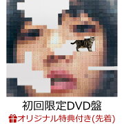 【楽天ブックス限定配送BOX】【楽天ブックス限定先着特典】猫にジェラシー (初回限定DVD盤 CD＋2DVD)【楽天ブックス限定Tシャツ付限定盤(Lサイズ)】(アクリルキーホルダー)