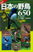 【バーゲン本】決定版 日本の野鳥650