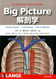 Big　Picture解剖学 [ デーヴィド・A．モートン ]
