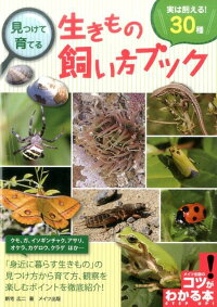 楽天ブックス 見つけて育てる 生きもの飼い方ブック 実は飼える 30種 新宅 広二 本