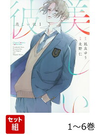 美しい彼 1～6巻セット
