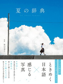 夏の辞典 [ 梅内美華子 ]
