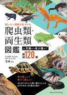 飼いたい種類が見つかる 爬虫類・両生類図鑑 人気種から希少種まで厳選120種 [ RAFちゃんねる 有馬 ]
