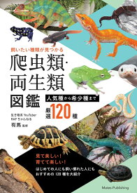 飼いたい種類が見つかる 爬虫類・両生類図鑑 人気種から希少種まで厳選120種 [ RAFちゃんねる 有馬 ]