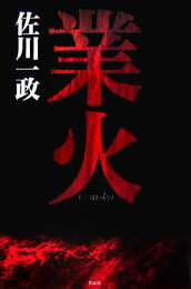 楽天ブックス: 極私的美女幻想 - 佐川一政 - 9784341131739 : 本