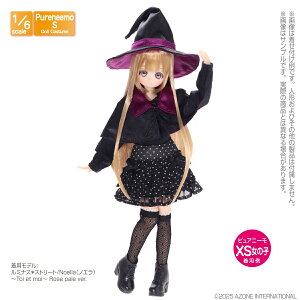 1/6�X�P�[���p�E�F�A PNS ���K�����@�g��set �p�[�v�� �yPOC607-PPL�z (�h�[��)