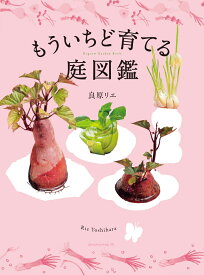 もういちど育てる庭図鑑 [ 良原リエ ]