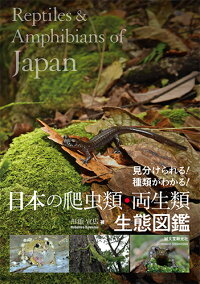日本の爬虫類・両生類 生態図鑑　見分けられる！ 種類がわかる！川添 宣広