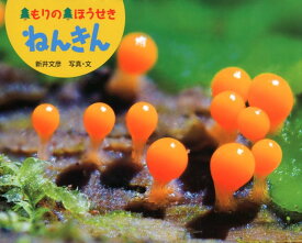 楽天市場 ふしぎいっぱいの通販