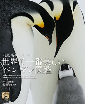 本 写真集 タレント 週間ランキング 動物 自然 楽天ブックス