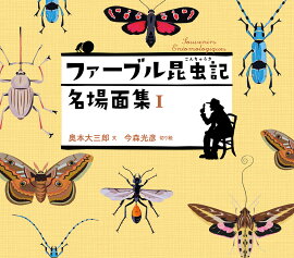 �ե����֥뺫���̾���̽� I