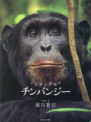 ジャングル チンパンジー