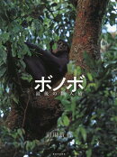 ボノボ