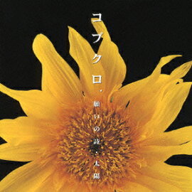 �ꤤ�λ�������