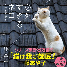 必死すぎるネコ　一心不乱篇（Vol.3） [ 沖 昌之 ]