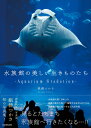 水族館の美しい生きものたち -Aquarium Gradation- [ 銀鏡　つかさ ]